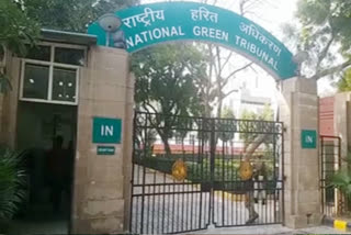 National Green Tribunal took cognizance of the slaughterhouse