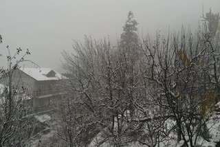 fresh snowfall in kinnaur