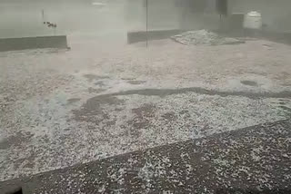 hail fell in Sikar, सीकर न्यूज