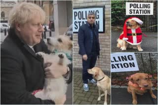 UK voters flock to voting stations with their pets