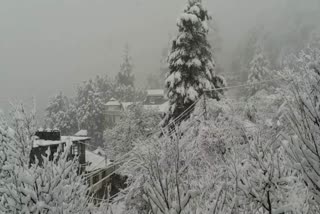 Heavy snowfall started in Kinnaur