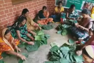 plastic-free-leaf-plates-in-odisha-sambalpur-self-help-groups-earning-profits-over-its-making