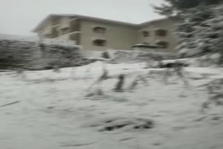 Kufri Narkanda road blocked by snowfall