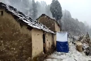 tharali snowfall news  , थराली मौसम समाचार