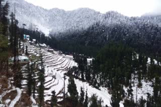 snowfall in mandi