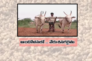 groundnut farmers problems at ananatapur dist