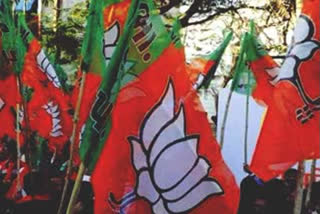 BJP to launch campaign about amended Citizenship Act