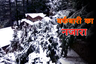 Dhanaulti