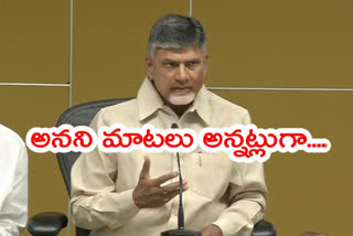 chandrababu-fires-on-ycp-government-