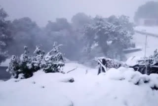 snowfall in Uttarakhand