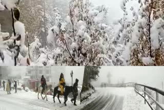 simla snow