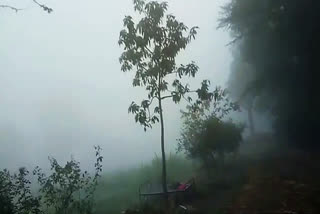 Rajsamand temperature fluctuations, Rajsamand weather, cold in Rajsamand, fog in Rajsamand, राजसमंद मौसम