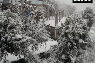 North India becomes winter wonderland with snowfall in several hilly states  snowfall in north india latest news  മഞ്ഞ്‌ നിറഞ്ഞ് ഉത്തരേന്ത്യ  മഞ്ഞുകാലം