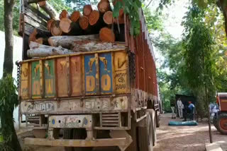 truck carrying woods seized