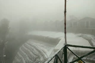 snowfall in Chail solan news, सोलन के चायल में बर्फबारी की न्यूज