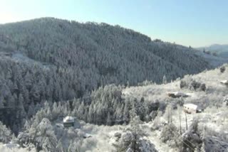 beauty of Shimla after  snowfall