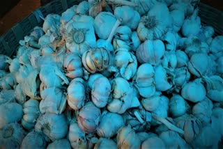 Price Hike of Nilagiri Garlic