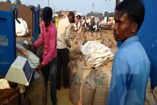 paddy procurement in koriya