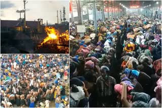 ശബരിമല തിരക്ക്  sabarimala heavy rush  ശബരിമല ഭക്തജനപ്രവാഹം  ശബരിമല ദർശനം  ഭക്തജനത്തിരക്ക്  അയ്യപ്പദർശനം  ദേവസ്വം ബോർഡ്  മകരവിളക്ക്  makaravilakku