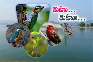 BIRD WALK FESTIVAL AT KAGAZNAGAR FOREST