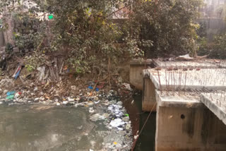 Subhash Nagar Drain's share not covered even after NGT order