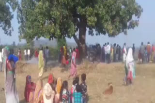 Mahua tree became the center of superstition