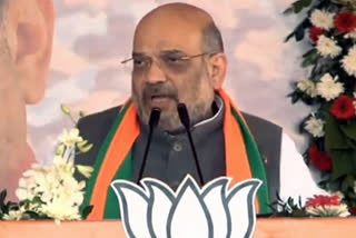 Will meet CM Conrad Sangma to resolve issues of Meghalaya on Citizenship Act: Shah