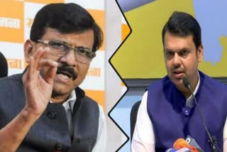 Devendra Fadnavis critisim on sanjay raut in nagpur