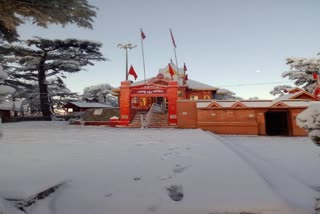 snowfall in jakhu temple, snowfall in shimla, Jakhu temple, jakhu temple shimla