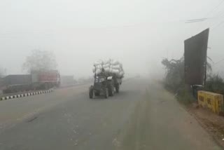 smog in bhiwani