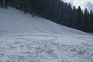 tourists turned to narkanda after snowfall