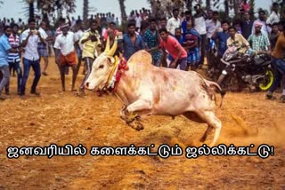 பாலமேடு ஜல்லிக்கட்டு குழு கலந்தாய்வு கூட்டம்