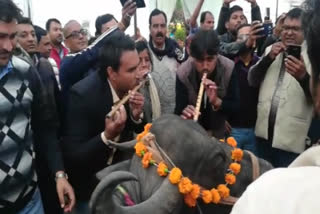 Guest scholars staged a sit-in protest against the government in Bhopal