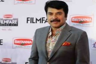 mammoottys