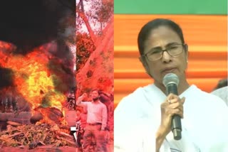 TMC takes out rallies against citizenship law, Mamata to hit   streets from Monday