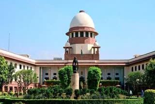 pocso court