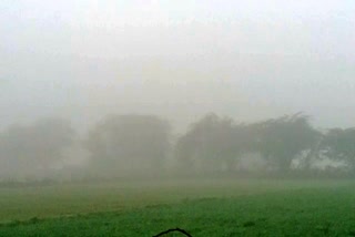 जिले में छाया कोहरा ,fog increase in district