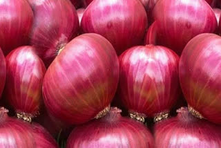 onion price