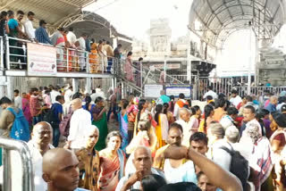The crowds of devotees at the Vemulavada Rajanna temple