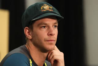 ടിം പെയിന്‍ വാർത്ത  tim paine news  aus vs nz news  ഓസിസ് vs കിവീസ് വാർത്ത