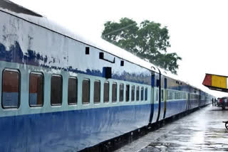 banana-leaves-to-stop-trains