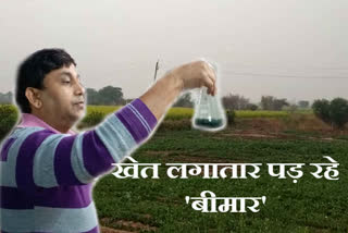 Bharatpur soil test, Micronutrient deficiency