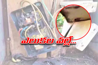 10TH CLASS STUDENT DIED WITH CURRENT SHOCK IN GOLLAPALLY