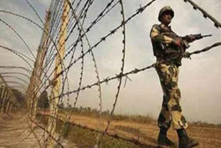 Army personnel killed in ceasefire violation by Pak along LoC in Gurez sector