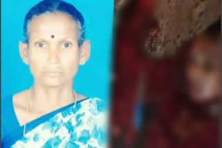 woman murder, woman murder in Kodagu, Kodagu murder news, Kodagu crime news, ಮಹಿಳೆ ಕೊಲೆ, ಕೊಡಗಿನಲ್ಲಿ ಮಹಿಳೆ ಕೊಲೆ, ಕೊಡಗು ಮಹಿಳೆ ಕೊಲೆ ಸುದ್ದಿ, ಕೊಡಗು ಅಪರಾಧ ಸುದ್ದಿ,