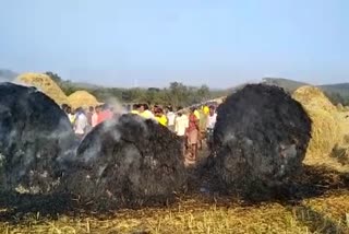 fire sets on crop in koraput, koraput latest news, koraput fire news, କୋରାପୁଟରେ କ୍ଷେତରେ ନିଆଁ, କୋରାପୁଟ ଲାଟେଷ୍ଟ ନ୍ୟୁଜ୍‌, କୋରାପୁଟ ନିଆଁ ଖବର