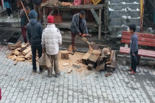 wood for winter in Kinnaur