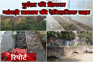 स्पेशल रिपोर्ट, झालावाड़ न्यूज, jhalawar latest news, गांवड़ी तालाब की नहर, बिना अनुमति के ही कर लिया भवन निर्माण, नहर तोड़कर निकाला रास्ता