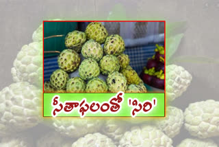 custed apple become life earring in anantapur sellers