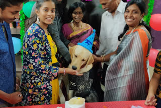 లియో పుట్టినరోజు వేడుక.